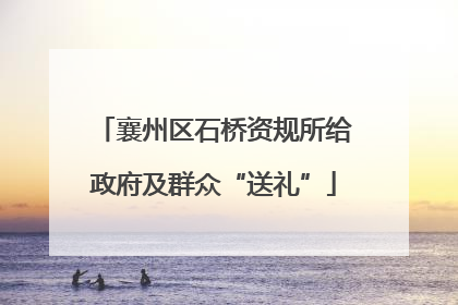 襄州区石桥资规所给政府及群众“送礼”